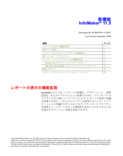 InfoMaker 11.5 新機能