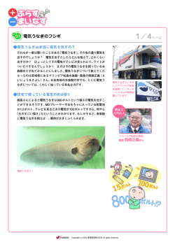 01 電気うなぎのフシギ - J