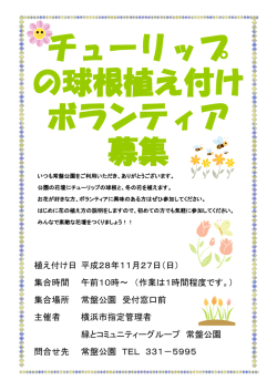 チューリップ の球根植え付け ボランティア 募集