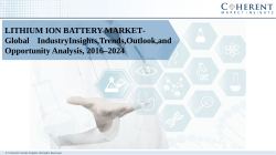 Lithium Ion Battery Market 