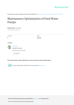 Maintanence Optimization of Feed Water Pumps