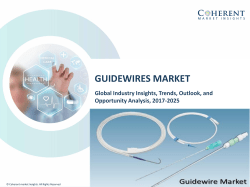 Guidewires Market - Industry Analysis, Size, Share, Growth, Trends and Forecast to 2025