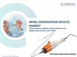 Renal Denervation Devices Market - Industry Analysis, Size, Share, Growth, Trends and Forecast to 2025
