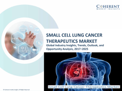 Small Cell Lung Cancer Therapeutics Market on the basis of diagnosis, types, treatment, drug therapy, and end user - Global Industry Insights, 2025