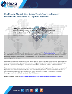 Pea Protein Market Growth