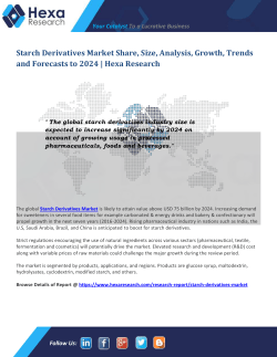 Starch Derivatives Market Share