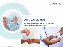 Burn Care Market, by Type of Burn, Product Type, and End User - Outlook and Opportunity Analysis, 2017-2025