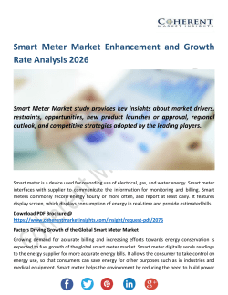 Smart Meter Market 