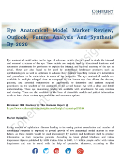 Eye Anatomical Model Market Countermeasures of Economic Impact Channels to 2026