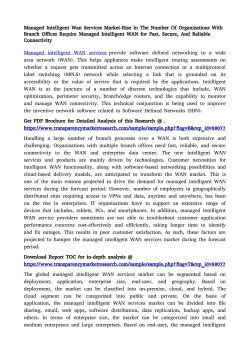 Managed Intelligent Wan Services Market