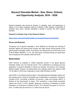 Glycerol Diacetate Market 