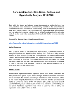 Boric Acid Market 