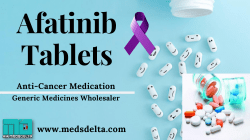 Indian Afatinib wholesale price  | Buy Xovoltib 40mg Tablet online  