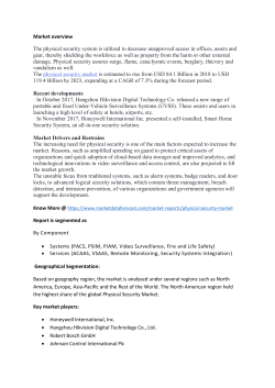Physical Security Market