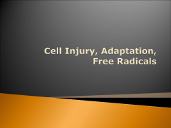 Cell Injury, Adaptation, Free Radicals