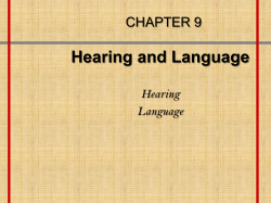 The Ear