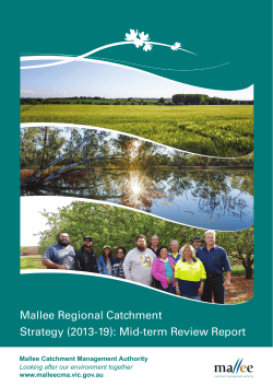 Mallee Regional catchment strategy (2013-19)