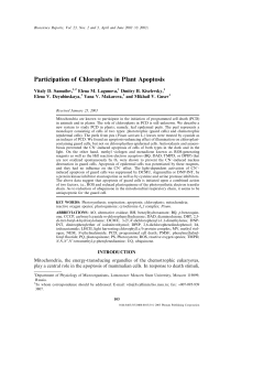 Participation of Chloroplasts in Plant Apoptosis
