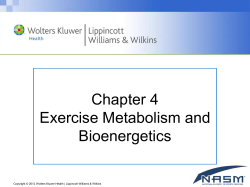 Integrated Function of the Kinetic Chain
