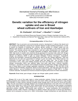 Genetic variation for the efficiency of nitrogen uptake and use in