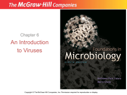 An Introduction to Viruses