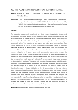 Title: CORN PLANTS GROWTH IN INTERACTION WITH