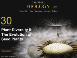 c) cuticle, vascular tissue, seeds, flowers