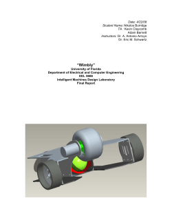 Final Report - Machine Intelligence Lab