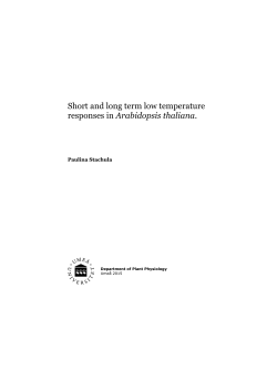 Short and long term low temperature responses in