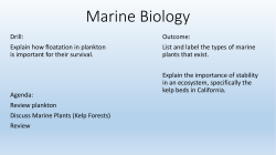 Marine Biology - Old Mill High School