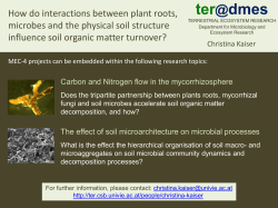 How do interactions between plant roots, microbes and the physical