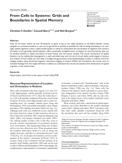 From Cells to Systems: Grids and Boundaries in Spatial