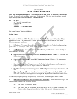 Small Project Tender Form