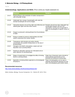 photosynthesis worksheet 2.9