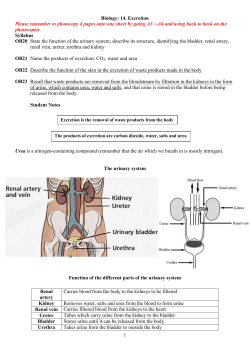 14. Excretion - The Physics Teacher