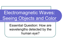 Seeing Objects and Color PowerPoint