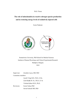 The role of mitochondria in reactive nitrogen species production and