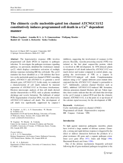 The chimeric cyclic nucleotide-gated ion channel ATCNGC11/12