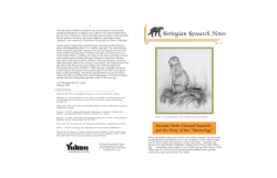 Arctic Ground Squirrels
