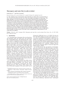 Macropores and water flow in soils revisited