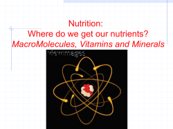Bio-Molecules