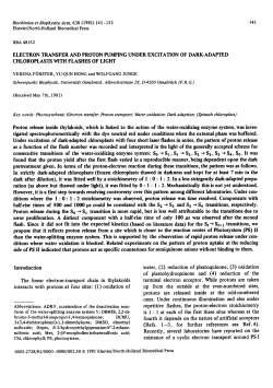 Elsevier/North-Holland Biomedical Press BBA 48152 ELECTRON