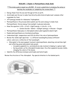 BIOLOGY / Chapter 6 Photosynthesis Study Guide **This study