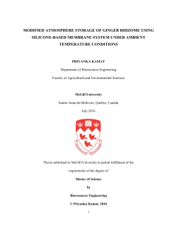 modified atmosphere storage of ginger rhizome