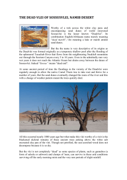 File - Namibian Odyssey