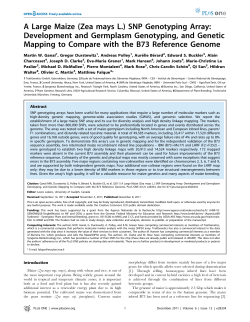 A Large Maize (Zea mays L.) SNP Genotyping Array