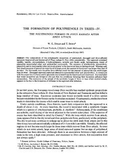 the formation of polyphenols in trees--iv.