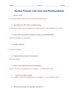 Review Packet CORRECT