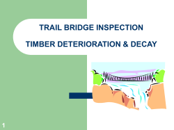 Timber Decay and Deterioration PowerPoint