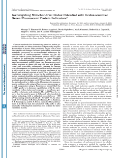 Investigating Mitochondrial Redox Potential with Redox